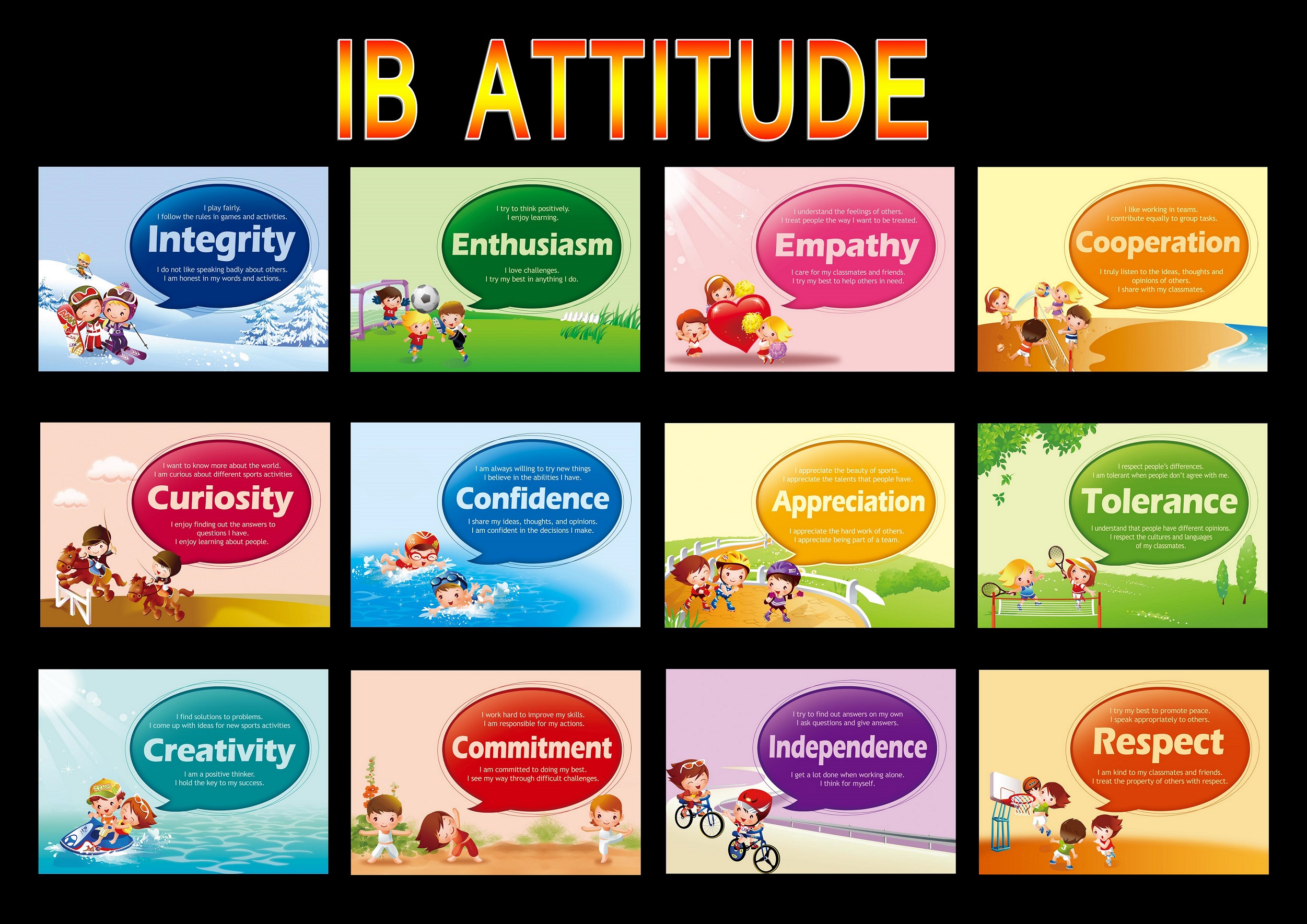 IB ATTITUDE2