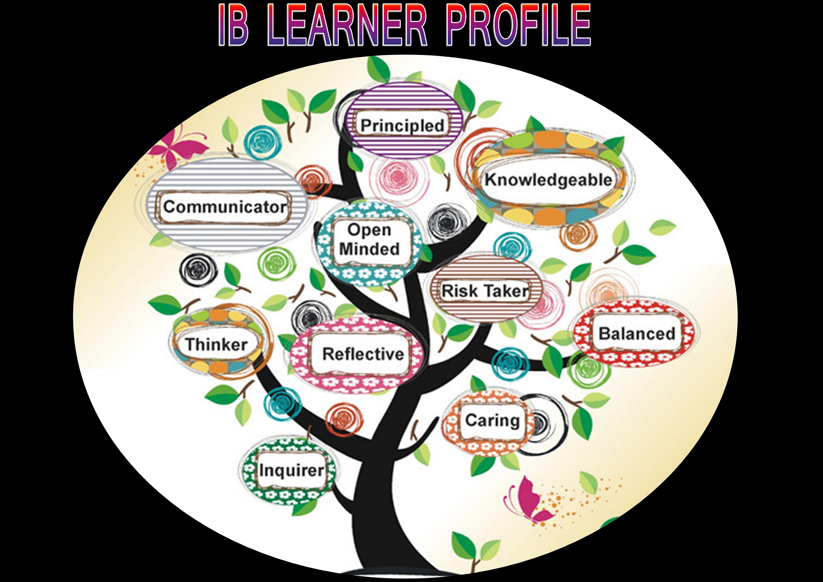 IB-PROFILE1