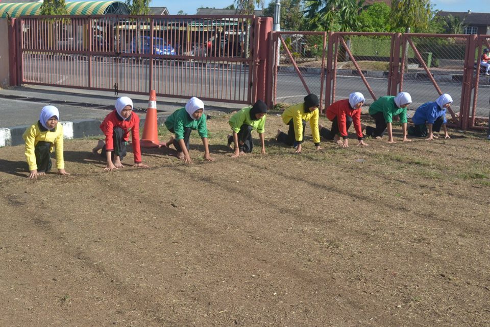 12246663_1675900009340916_4191566117634001866_n