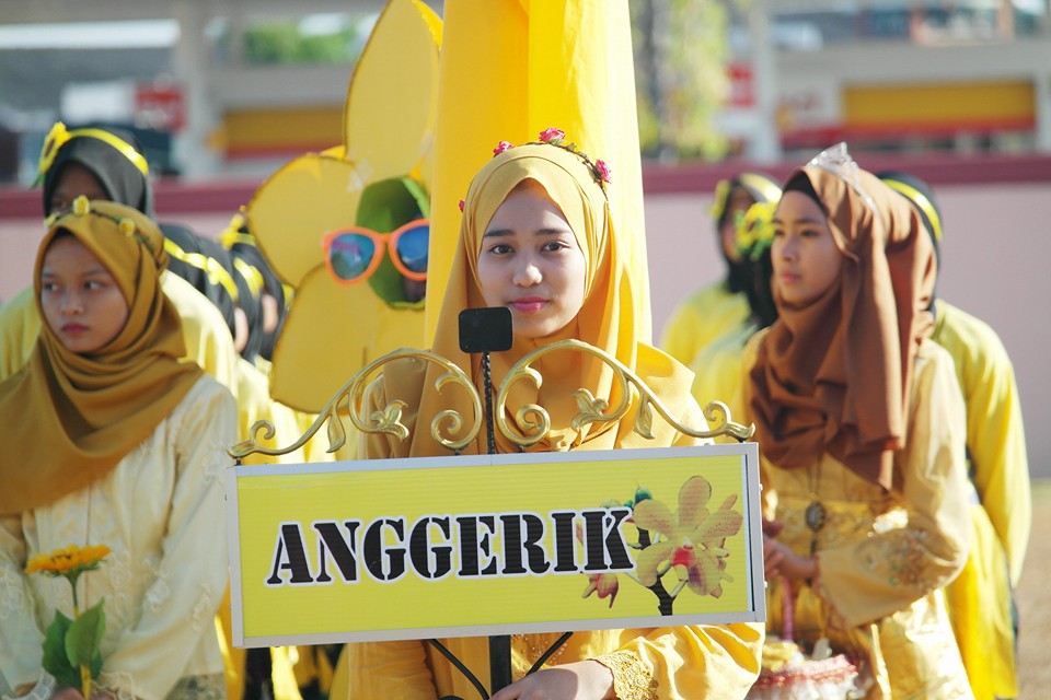 12798887_1675886636008920_1923176526672828923_n