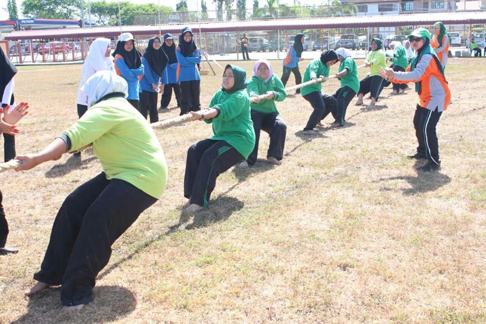 1463214_1675950056002578_7267523294361163032_n