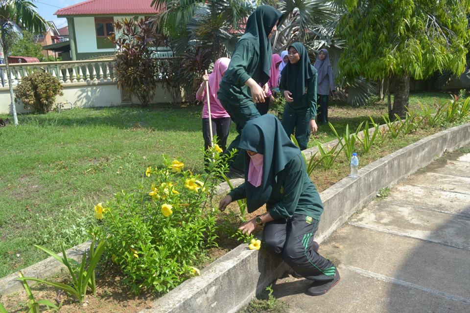 13226776_1707457942851789_8915663794588362404_n