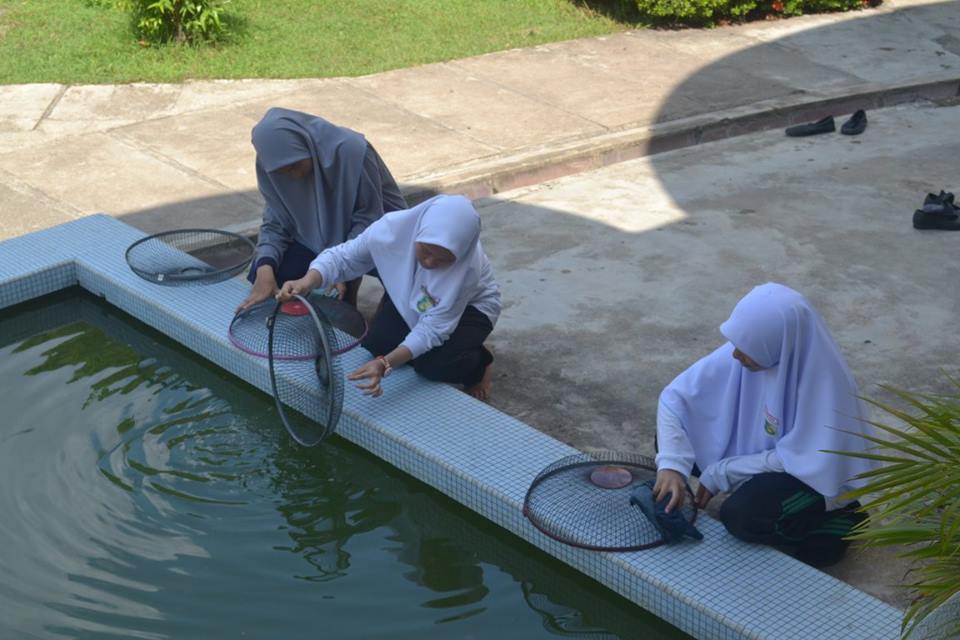 13230304_1707457699518480_7902247715030394452_n