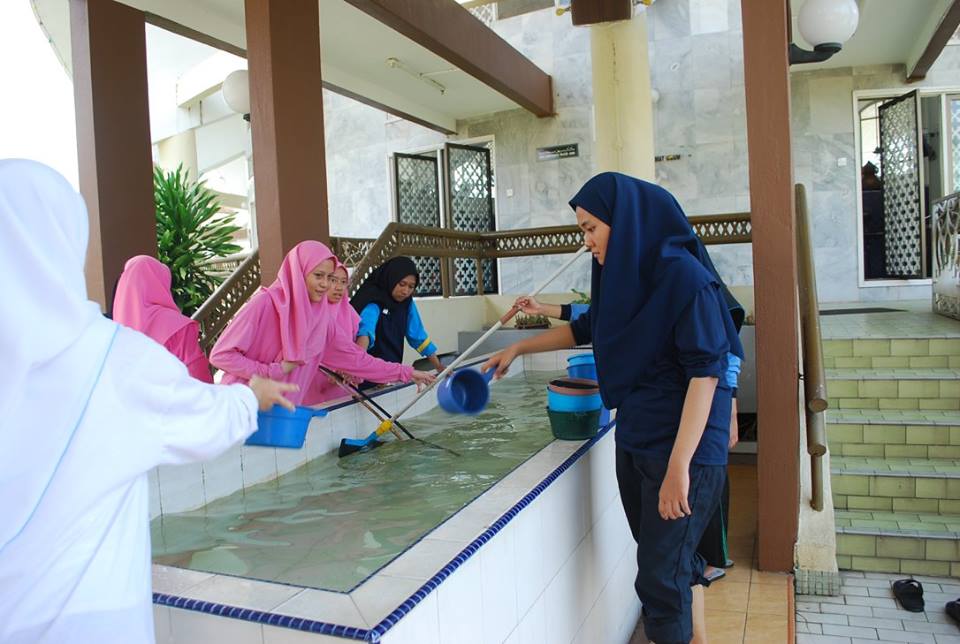 13260156_1707472499517000_2794058512065644387_n