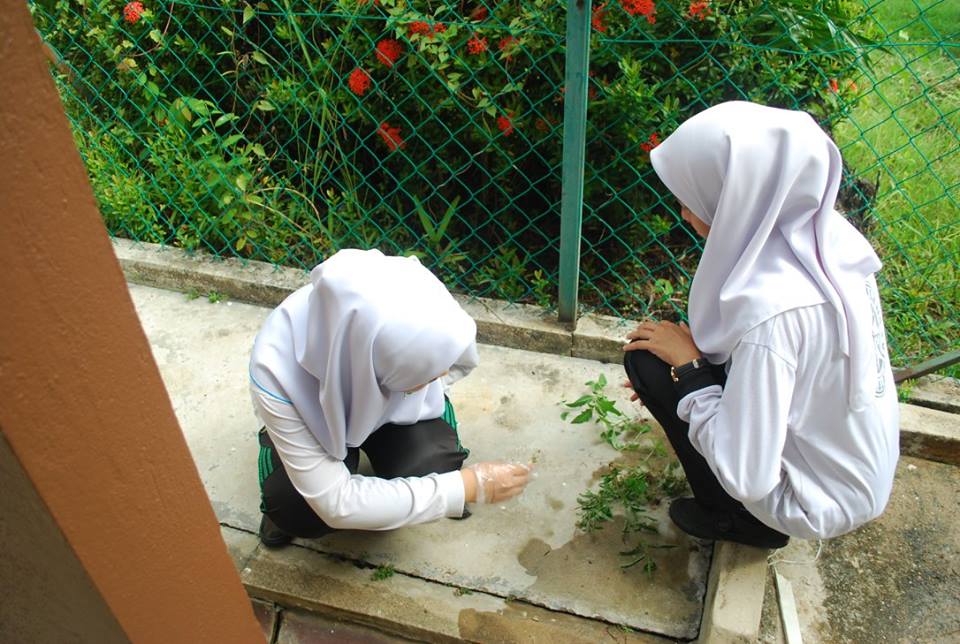 13260278_1707472806183636_2219611615531182613_n