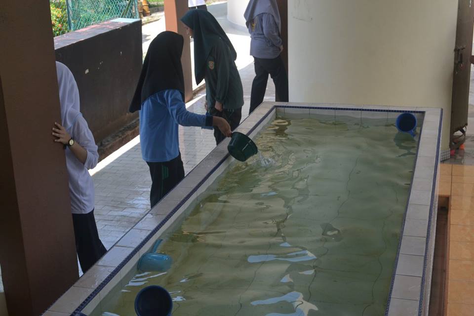 13265988_1707457209518529_2023390754576140960_n