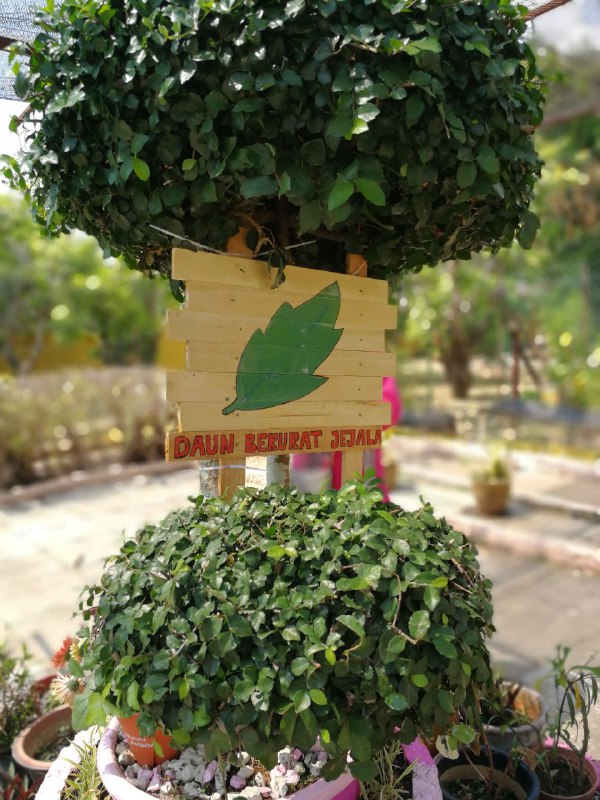 befbc6aa-6aec-42e8-bcf0-234ff2f85a3e