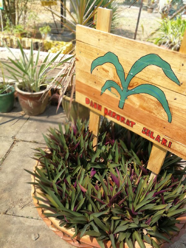 d9067906-90f5-4055-8d3a-789cc4f11704